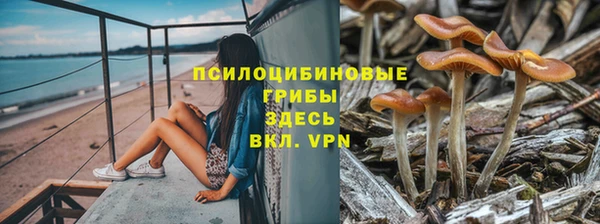 твердый Армянск