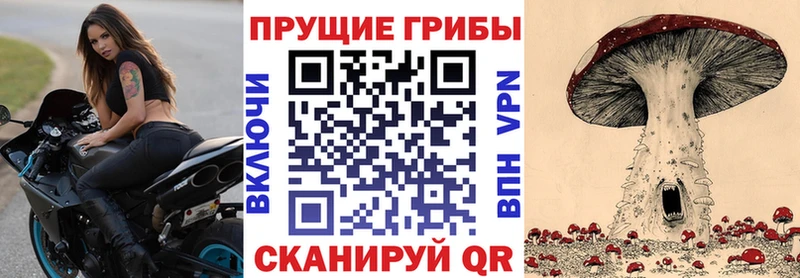 маркетплейс наркотические препараты  OMG ссылки  Углегорск  Псилоцибиновые грибы мицелий 